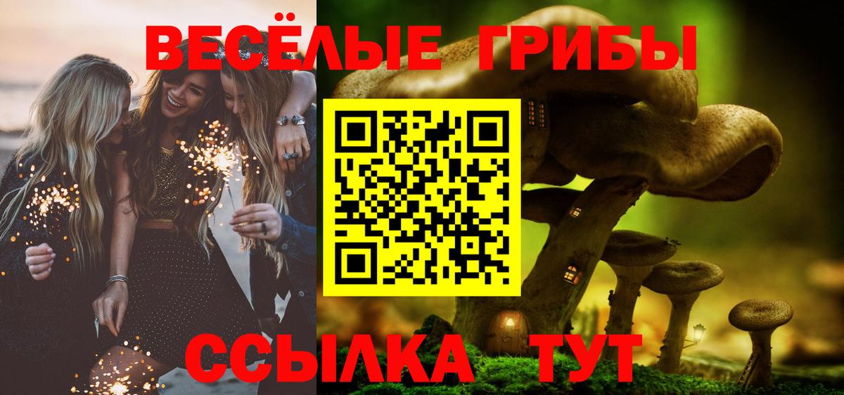 Галлюциногенные грибы Cubensis  Вход с VPN  Ростов-на-Дону  купить наркотик  Галлюциногенные грибы мухоморы 